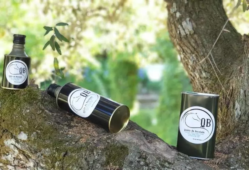ホテル Quinta Da Bacelada