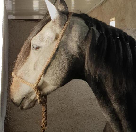 호텔 Quinta Da Bacelada