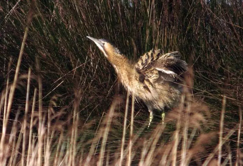 Hotelli Urdaibai Bird Center