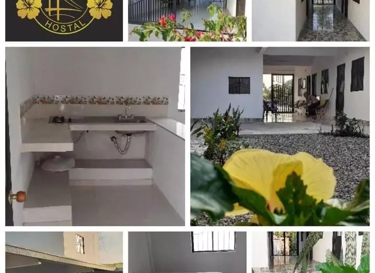 ペンション Hostal Flor Del Ariari