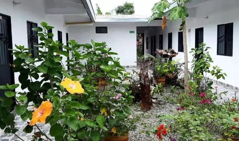 ペンション Hostal Flor Del Ariari