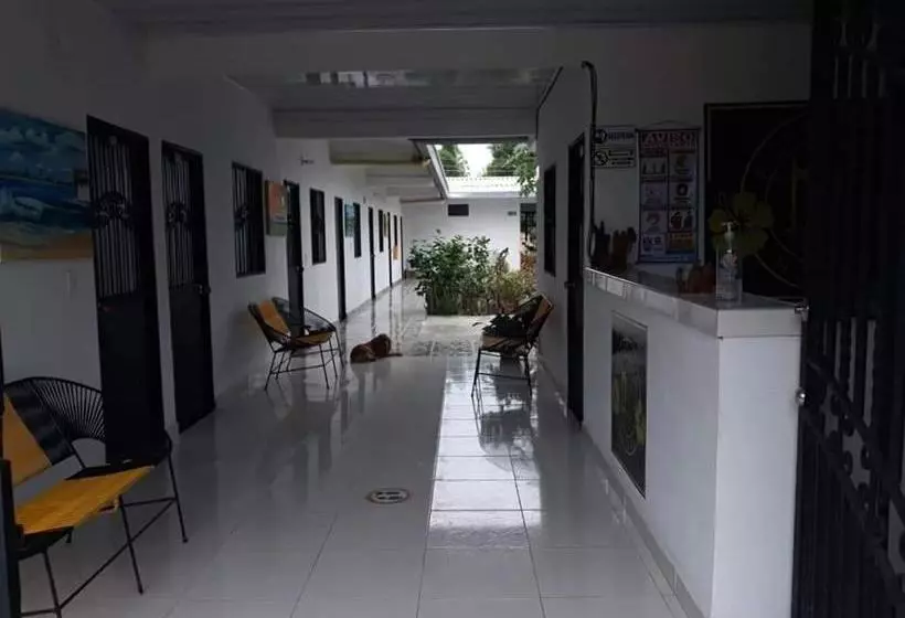 ペンション Hostal Flor Del Ariari