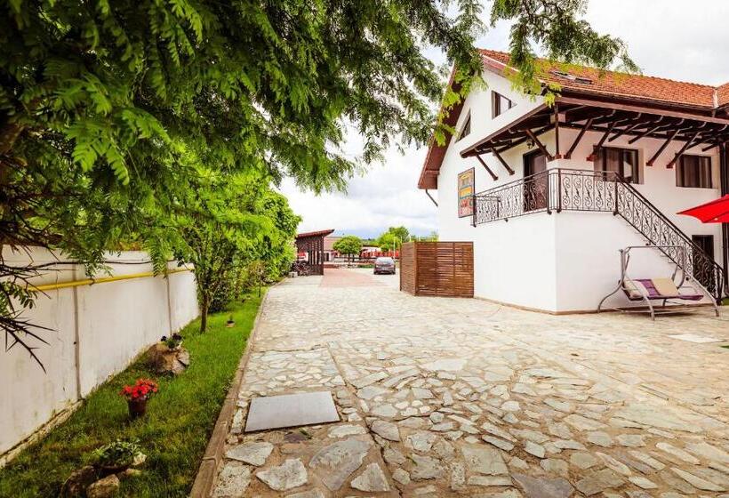 渡假胜地  Pensiunea Iris