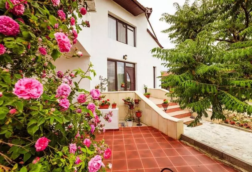 Lomakeskus Pensiunea Iris