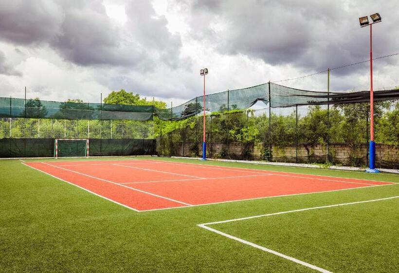 渡假胜地  Pensiunea Iris