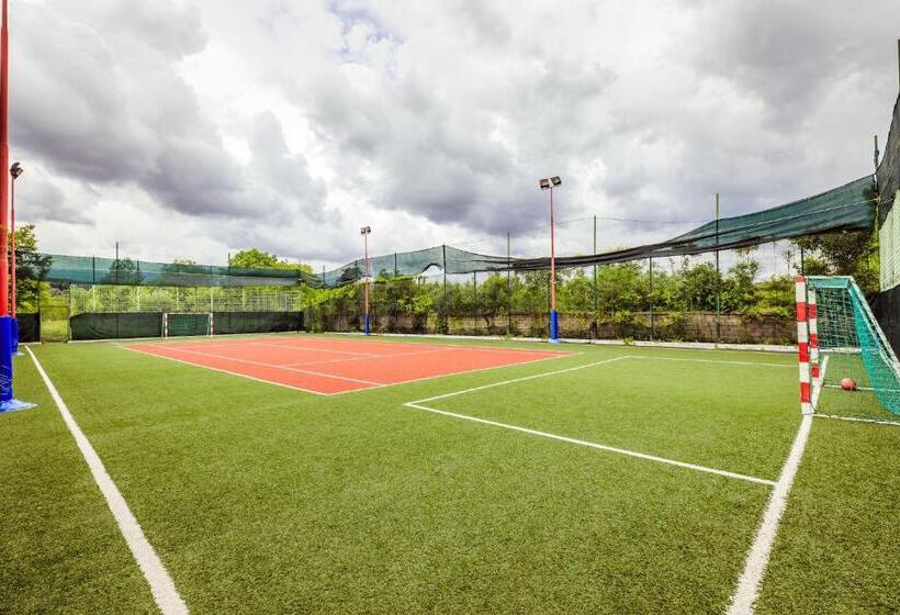 渡假胜地  Pensiunea Iris