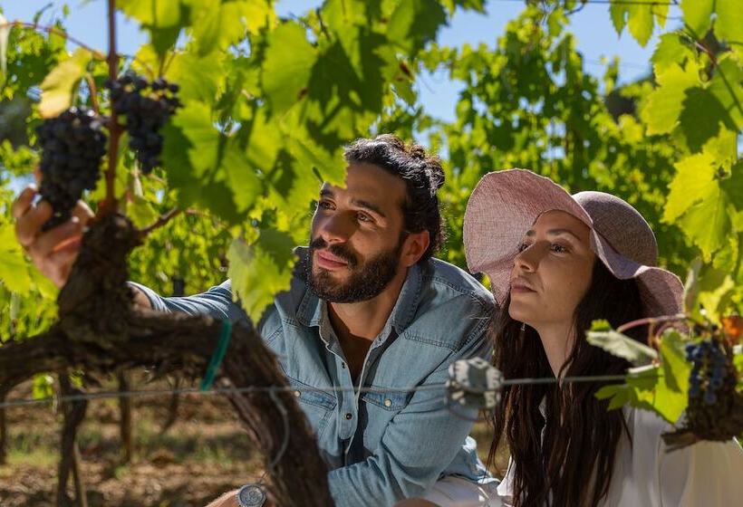 Villa Svetoni Wine Resort