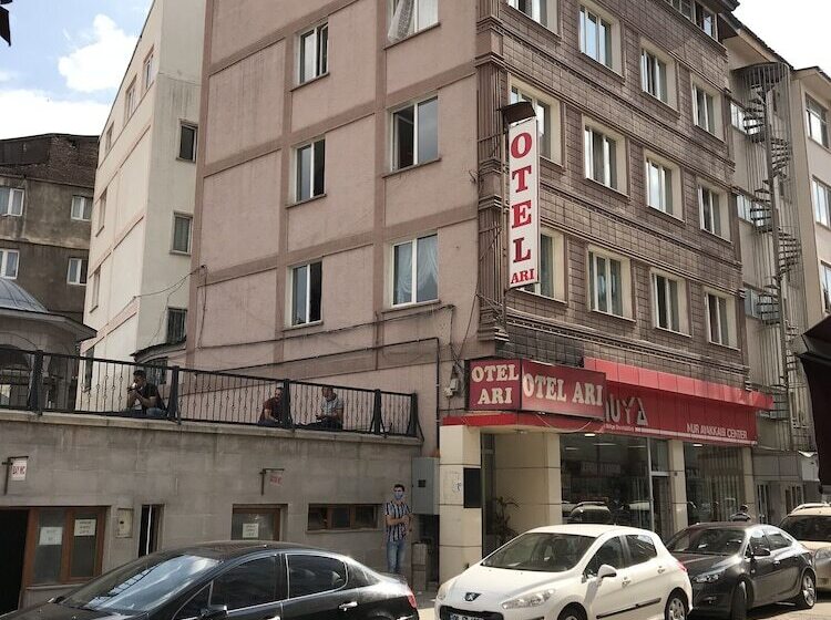 Отель Ari