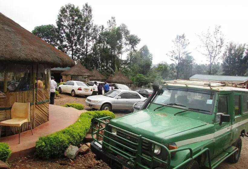 هتل Embonga Dream City Resort