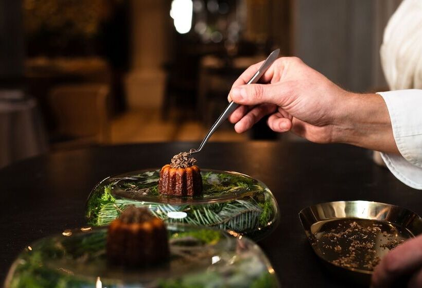 H15 Luxury Palace   Destigo Hotels