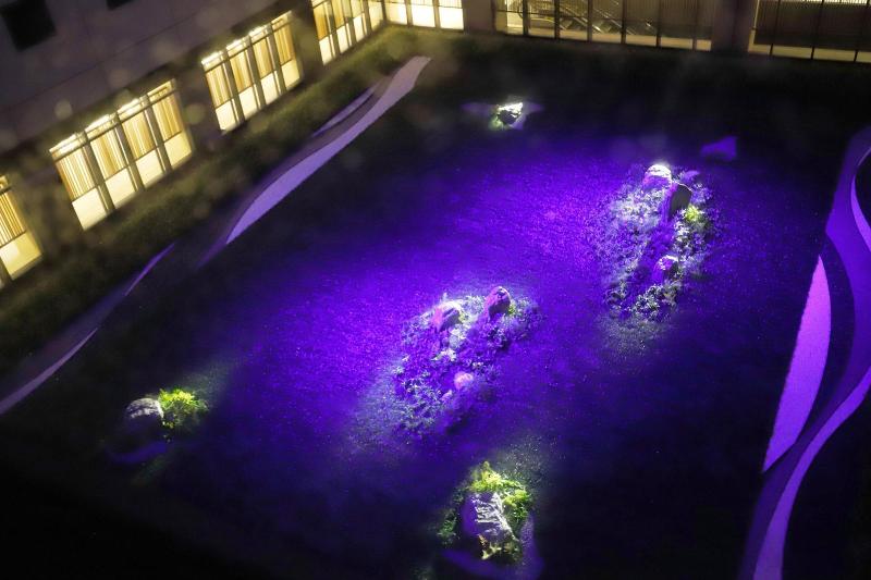 Hotel Keikyu Ex Inn Haneda Innovation City