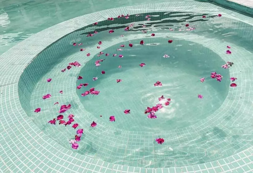 ホテル Paje Blu Boutique