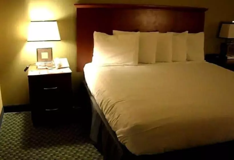 پانسیون Lindsay Executive Lodge