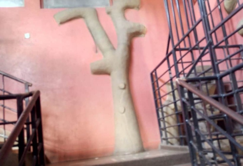 پانسیون Orchards Lodge