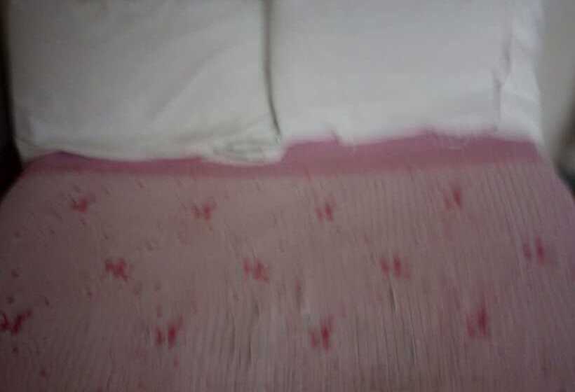 پانسیون Orchards Lodge