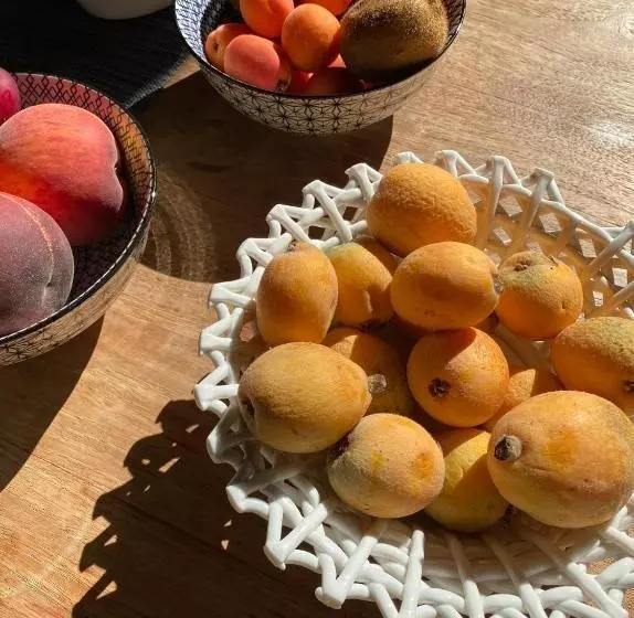 ベッドアンドブレックファースト Cocciu D Amuri