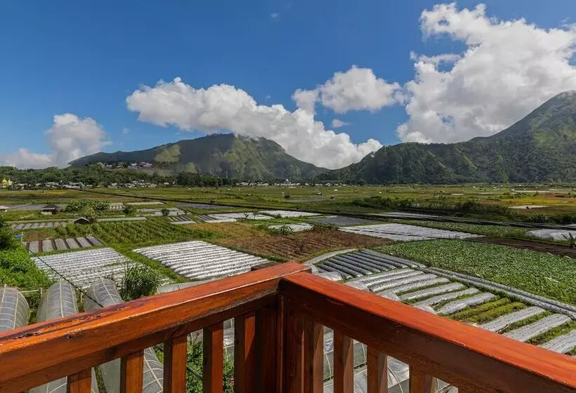 Hotelli Teras Sawah Guest House Syariah