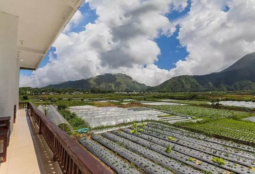 Hotelli Teras Sawah Guest House Syariah