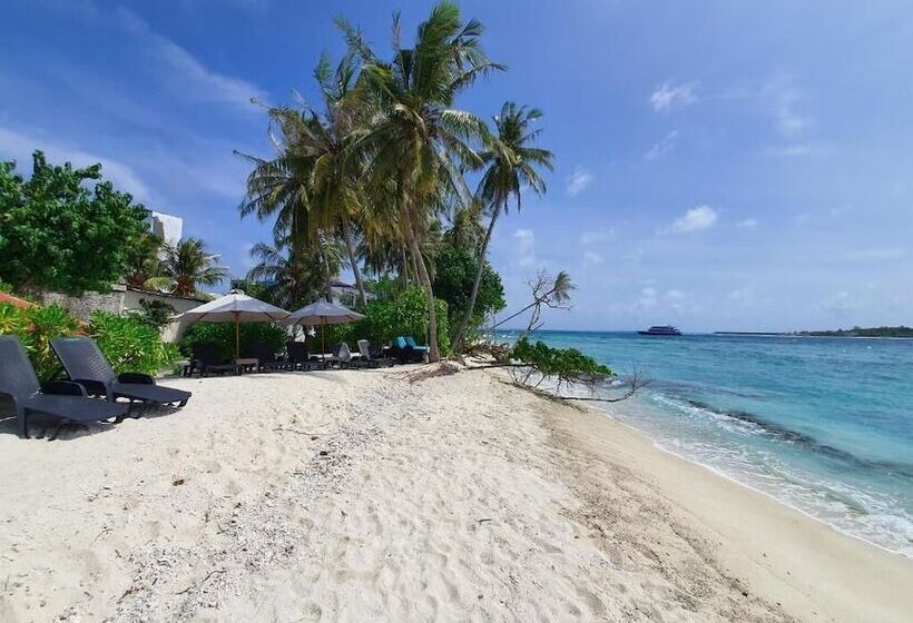 پانسیون Orimas Retreat