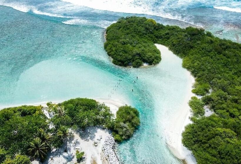 پانسیون Orimas Retreat