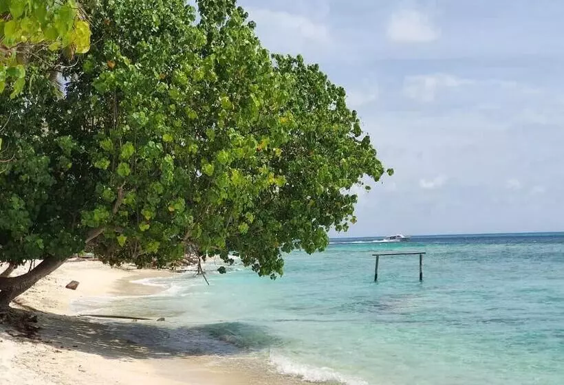 پانسیون Orimas Retreat