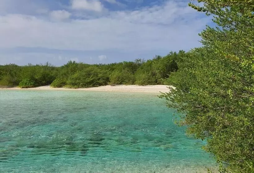 پانسیون Orimas Retreat