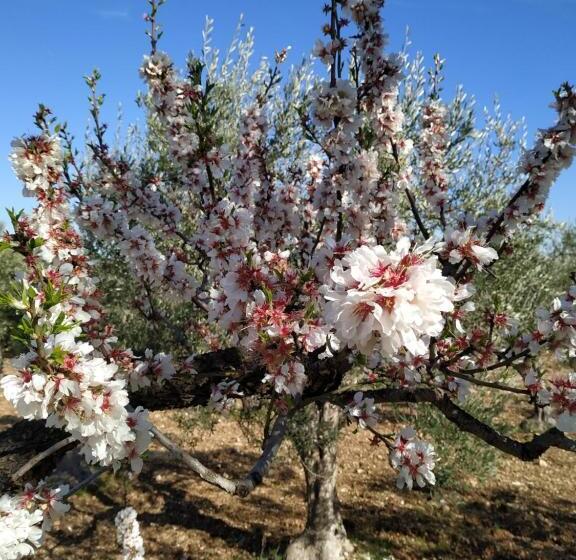 Bed and Breakfast La Neviera
