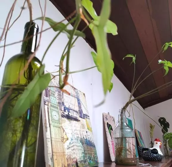 پانسیون Ganesha Hostel