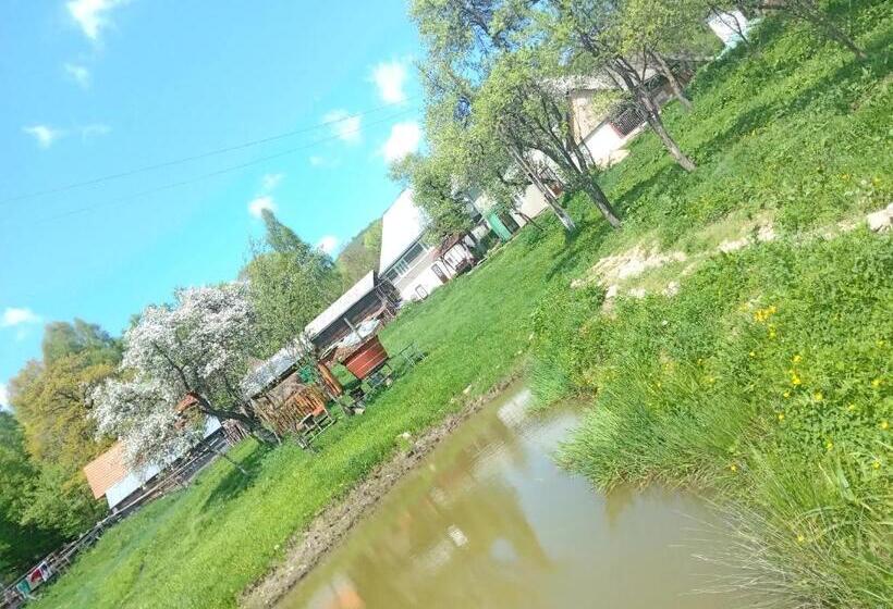 پانسیون Room In Guest Room Sejour In Green Garden With Lake View For 2 People