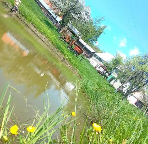 پانسیون Room In Guest Room Sejour In Green Garden With Lake View For 2 People