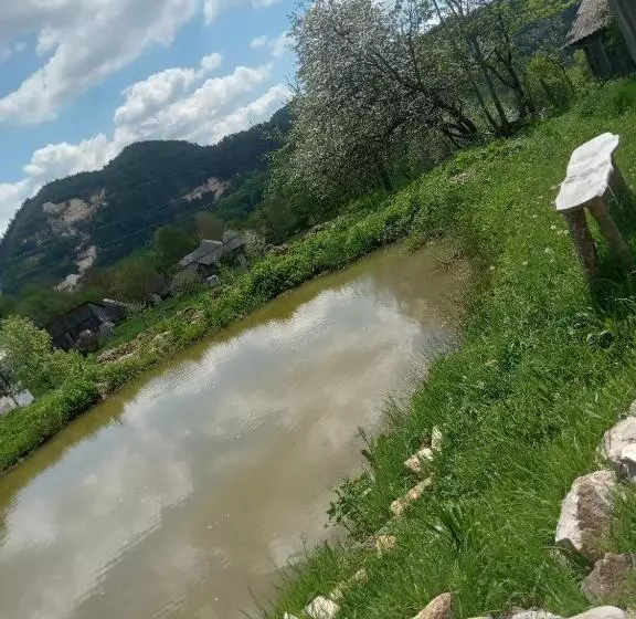 پانسیون Room In Guest Room   Sejour In Green Garden With Lake View For 2 People