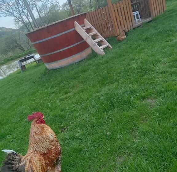 پانسیون Room In Guest Room Sejour In Green Garden With Lake View For 2 People