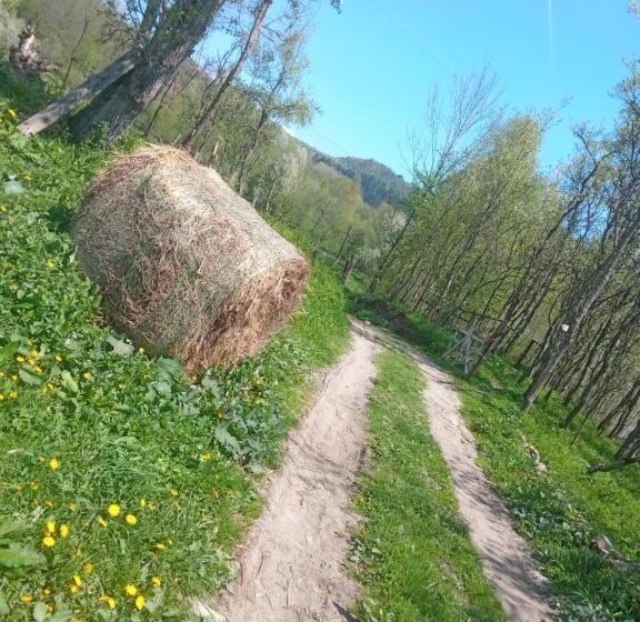 پانسیون Room In Guest Room Sejour In Green Garden With Lake View For 2 People