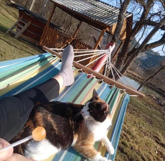 پانسیون Room In Guest Room Sejour In Green Garden With Lake View For 2 People