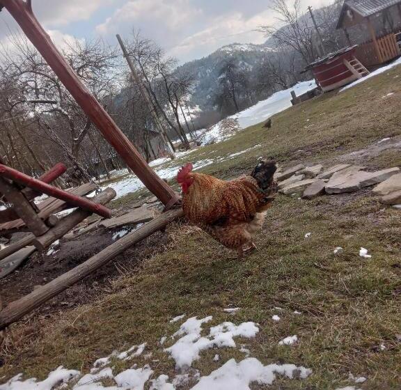 پانسیون Room In Guest Room Sejour In Green Garden With Lake View For 2 People