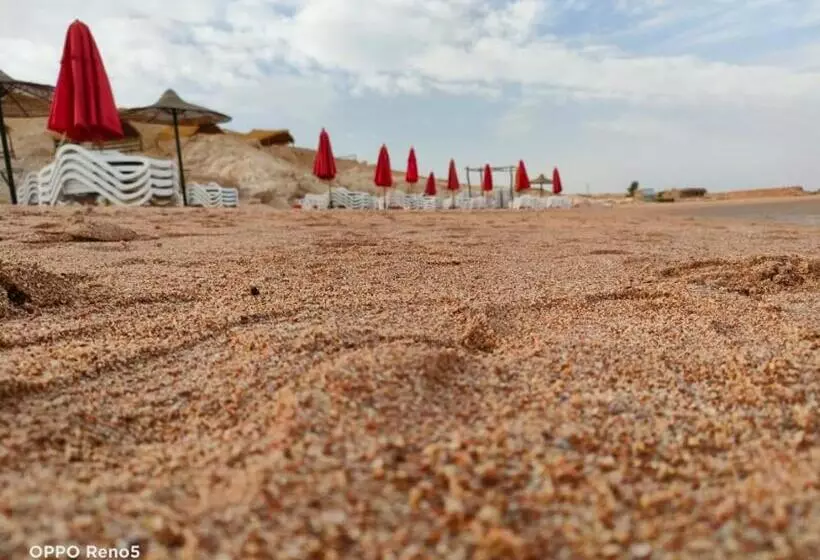 Porto Sharm 2 Bed Room And Private Garden Pool View