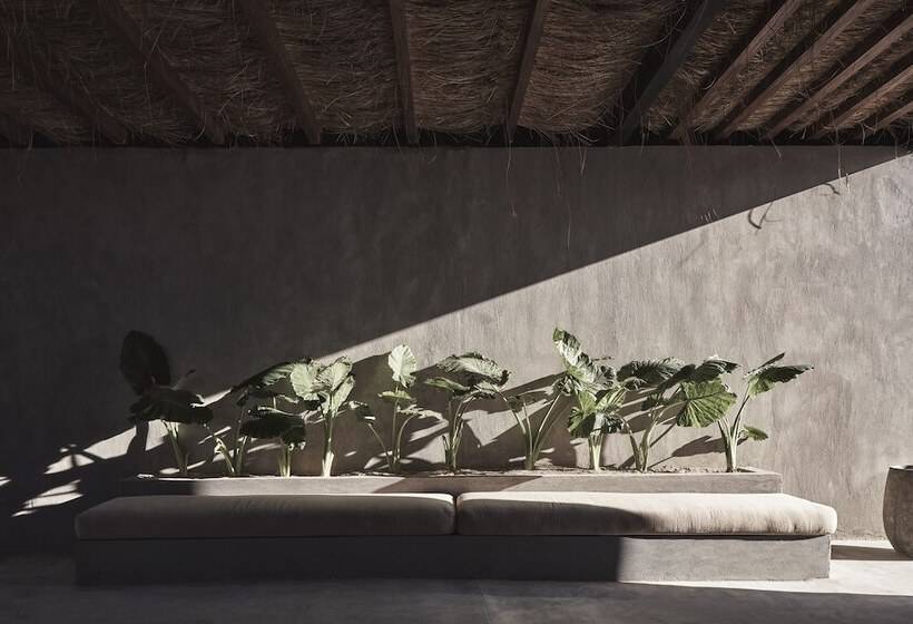 استراحتگاه Casa Cook North Coast Adults Only