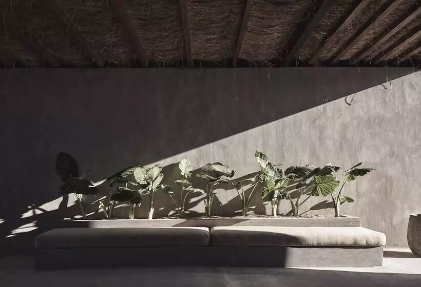 استراحتگاه Casa Cook North Coast    Adults Only