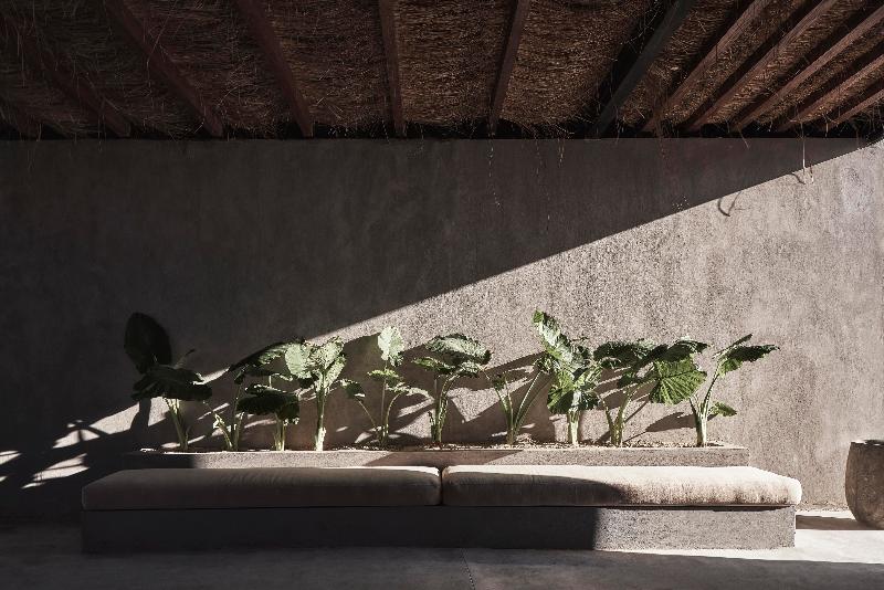 استراحتگاه Casa Cook North Coast Adults Only