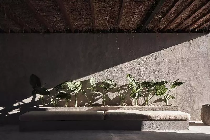 استراحتگاه Casa Cook North Coast    Adults Only