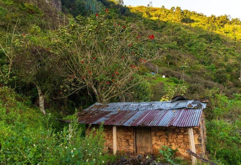 Resort Warmth Hill Crest