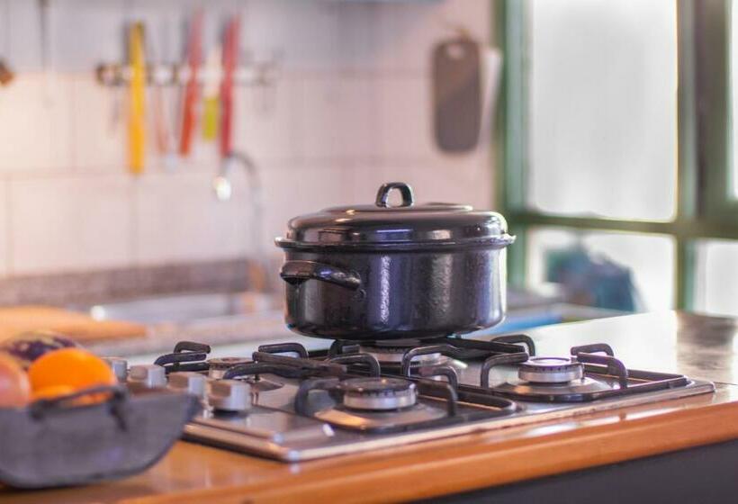 هاستل Palafito Hospedaje Vista Bordemar