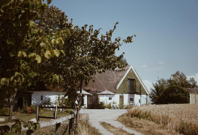 Aamiaismajoitus (B&B) Axatorpsgården