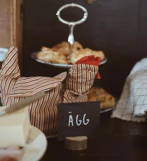 ベッドアンドブレックファースト Axatorpsgården