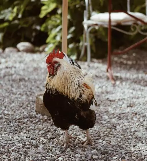 ベッドアンドブレックファースト Axatorpsgården