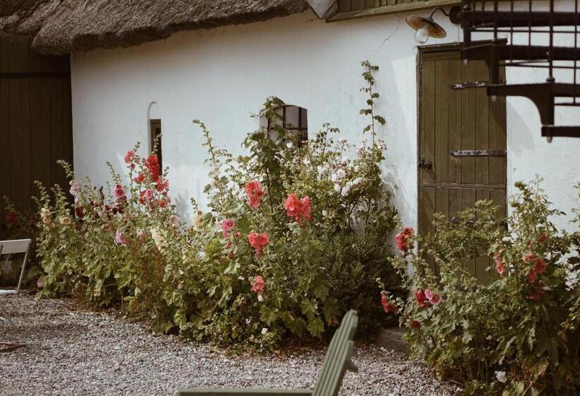 Aamiaismajoitus (B&B) Axatorpsgården