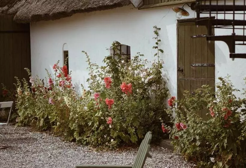 ベッドアンドブレックファースト Axatorpsgården