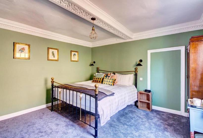 Bed and Breakfast The Green Parrot