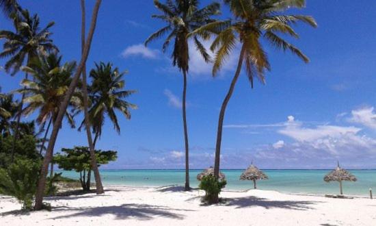 فندق Heart Of Zanzibar Bungalows