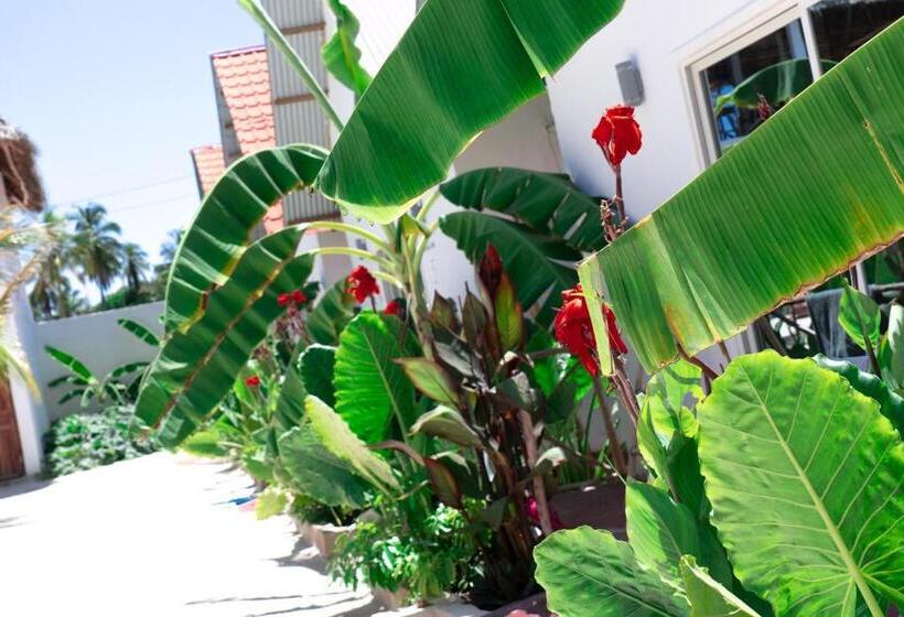 فندق Heart Of Zanzibar Bungalows
